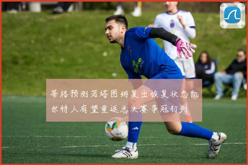 蒂格预测若塔图姆复出恢复状态凯尔特人有望重返总决赛争冠行列