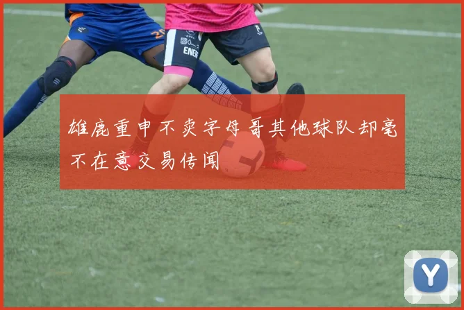 雄鹿重申不卖字母哥其他球队却毫不在意交易传闻