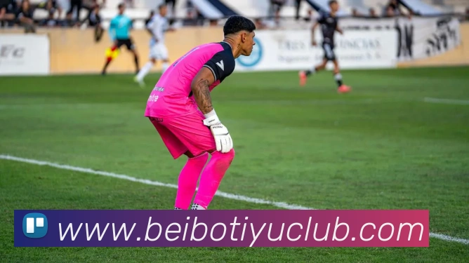 贝博体育全站App